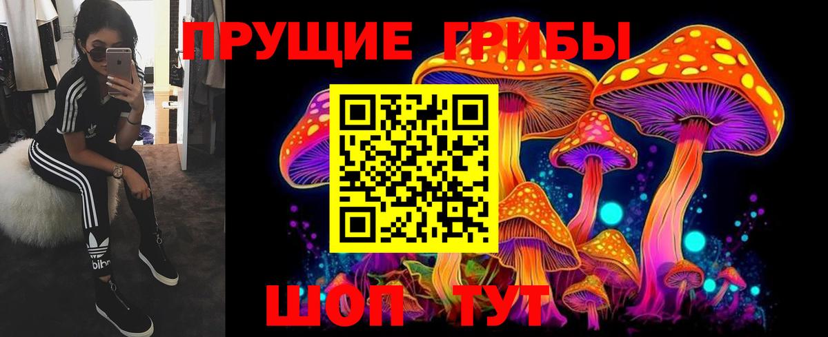 Псилоцибиновые грибы Psilocybine cubensis  Вход с VPN  цены наркотик  Комсомольск-на-Амуре 
